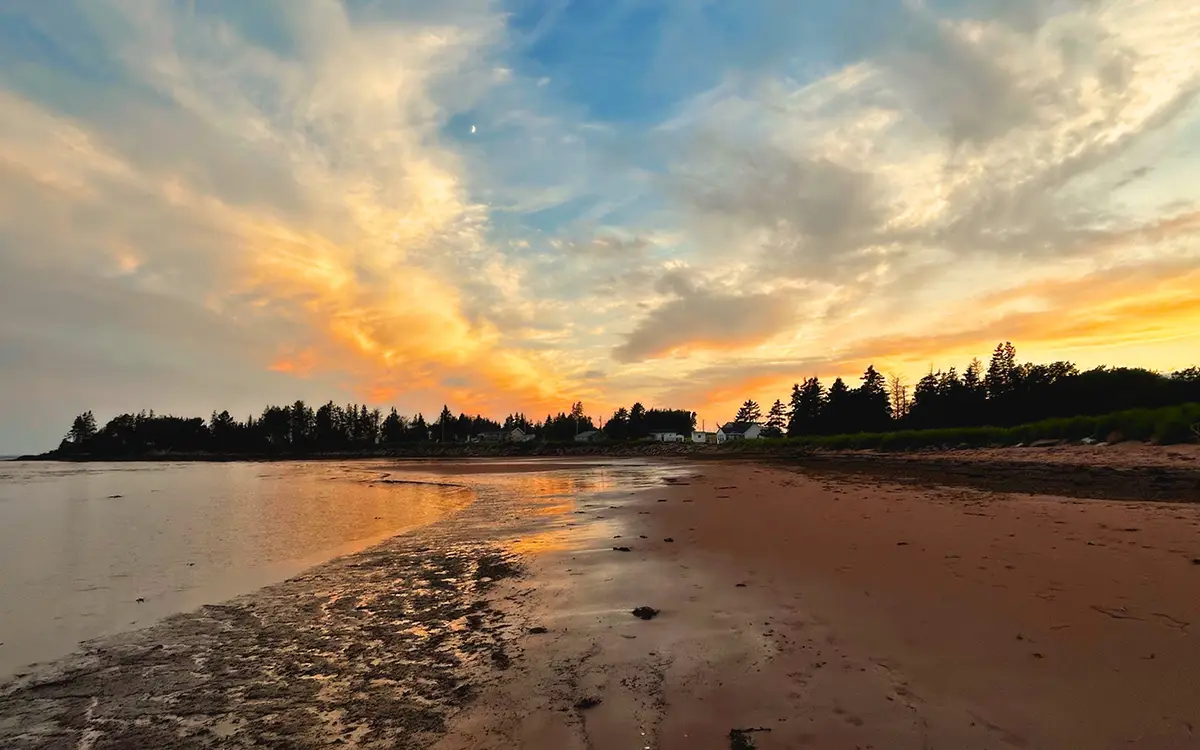 A serene beach scene at sunset with a mix of orange, yellow, and blue hues in the sky. The beach has wet sand reflecting the colors of the sky, and there are trees and vegetation in the background.